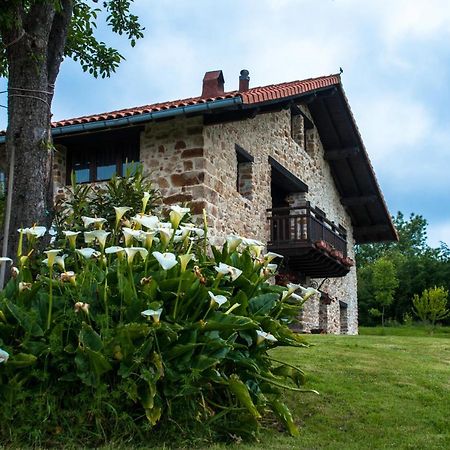 Apartamentos Rurales Larrago Busturia Exteriér fotografie